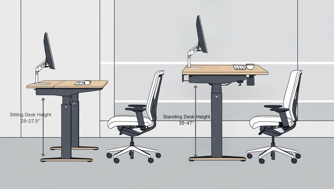 What Chair is Best for Productivity: Ultimate Comfort & Focus Guide
