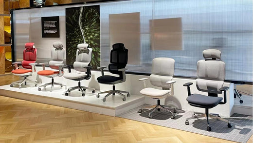 Best Cheap Office Chair? Top Budget Picks for Comfort &amp; Ergonomics