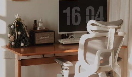 Best Lumbar Support Chairs: Buyer's Guide for Back Pain