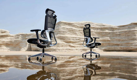 Finding the Best Inexpensive Office Chair: Comfort and Ergonomics on a Budget