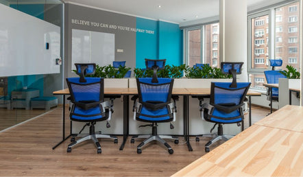 The Ultimate Guide to the Ergo Mesh Office Chair: Comfort, Support, and Style for Your Workspace