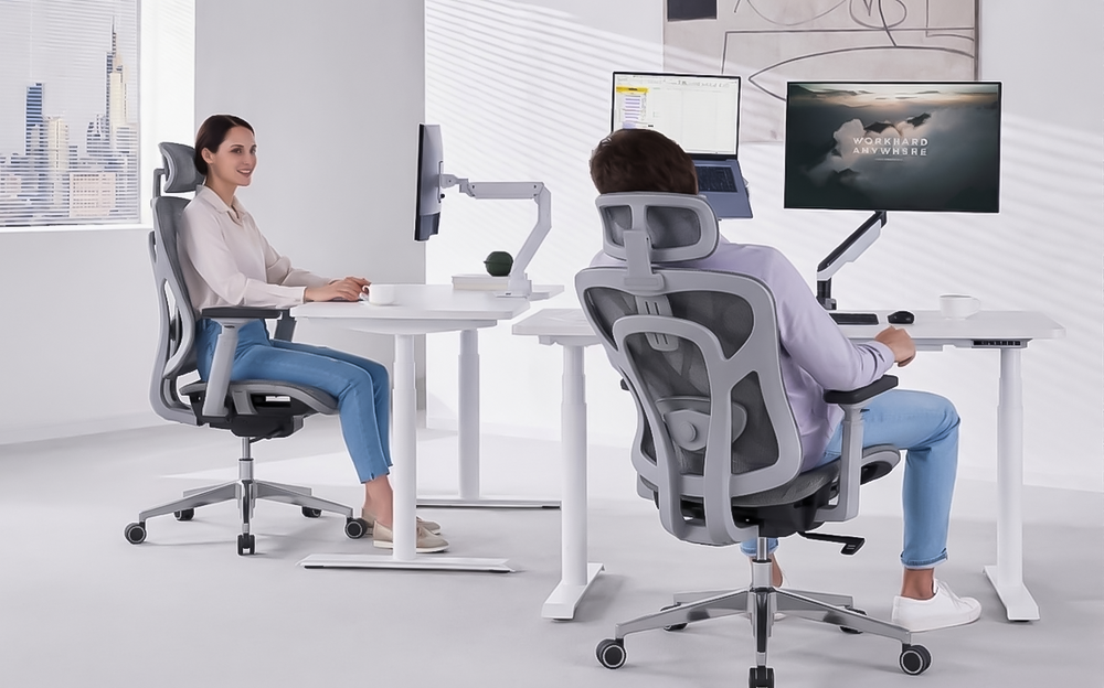 Chair Ultra 004 Ergonomic Home Office Chair With 3D Lumbar Support