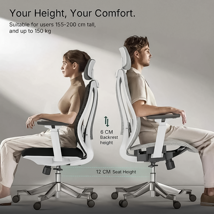 Ergonomic Chair Pro - The best home office chair